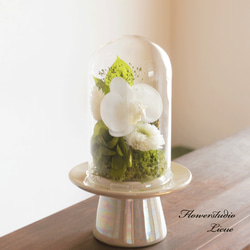 【仏花】　ガラスドーム入り胡蝶蘭と小菊 4枚目の画像