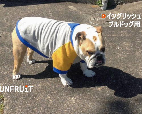 ⭐︎犬服⭐︎handmade ラグラン SALE】ラグランカットソー 犬服 ペット服 小型犬服 おしゃれ犬服