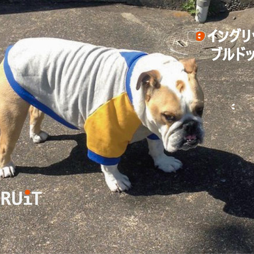 わんこ服　ハンドメイド　ロック♪なラグラントレーナー　Lサイズ わんこ服ハンドメイドロック♪なラグラントレーナーLサイズ