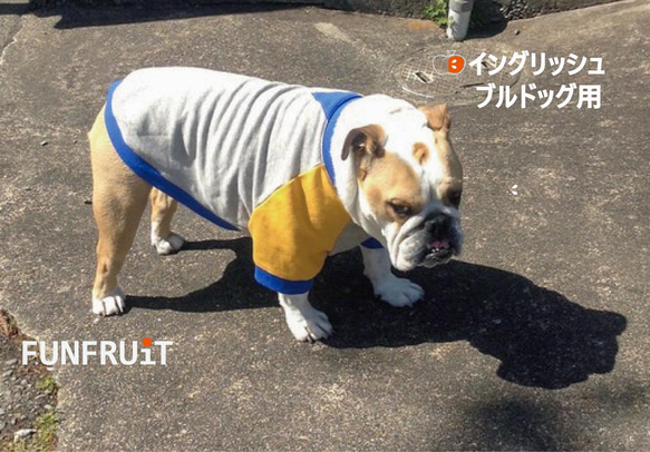 わんこ服　ハンドメイド　ロック♪なラグラントレーナー　Lサイズ わんこ服ハンドメイドロック♪なラグラントレーナーLサイズ