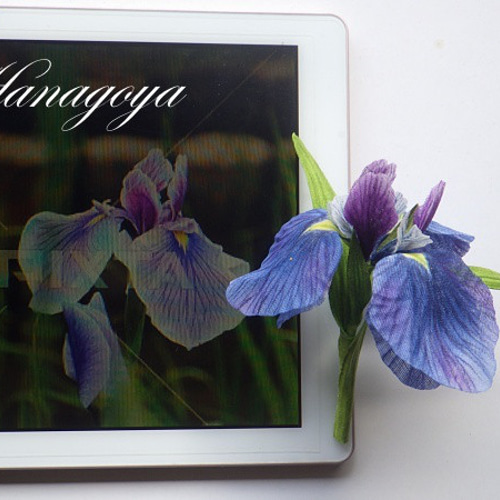 【美品 木箱入】正峰 Syoho 花瓶 2点セット アヤメ 菖蒲 金彩 華道具 花器 「大花瓶 金彩菖蒲」 金龍窯 江口天童 有田焼 陶磁器 – Takumi Japan