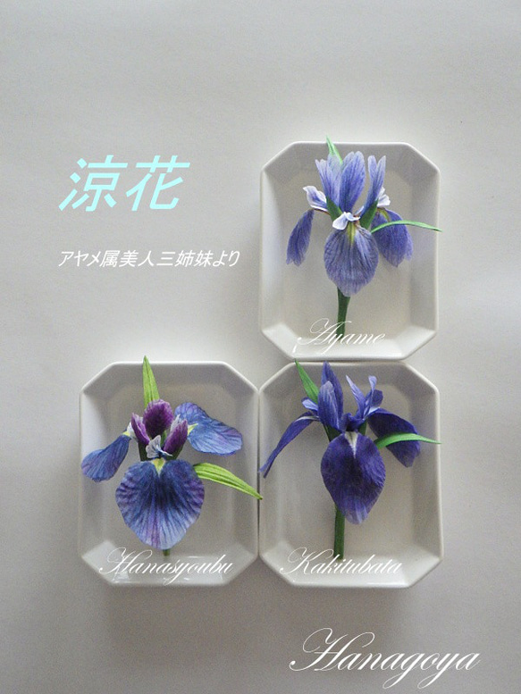 【美品 木箱入】正峰 Syoho 花瓶 2点セット アヤメ 菖蒲 金彩 華道具 花器 「大花瓶 金彩菖蒲」 金龍窯 江口天童 有田焼 陶磁器 – Takumi Japan