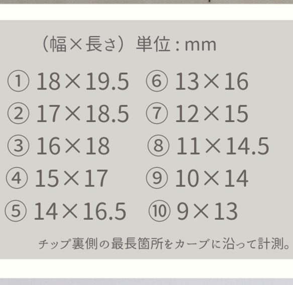 試着用クリアチップ10枚セット（ハンド用レギュラー）/Annaffiare 成人式振袖前撮り和装ウェディング結婚式 2枚目の画像