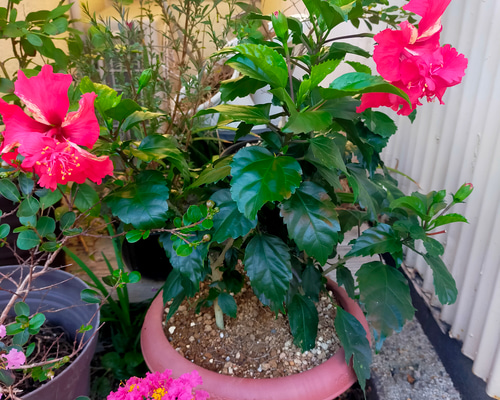 824b134a5f38a3649f1f7acd221285