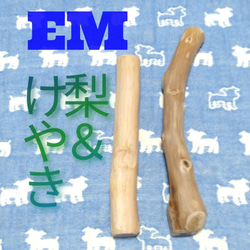 EM.けやき梨の木新品.犬用おもちゃ、小型犬向け歯固め、かじり木 1枚目の画像