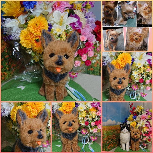 オーダー受付専用】 虹の橋の扉 ✨ 虹の橋✨ 犬 ✨ 猫 ✨ メモリアル