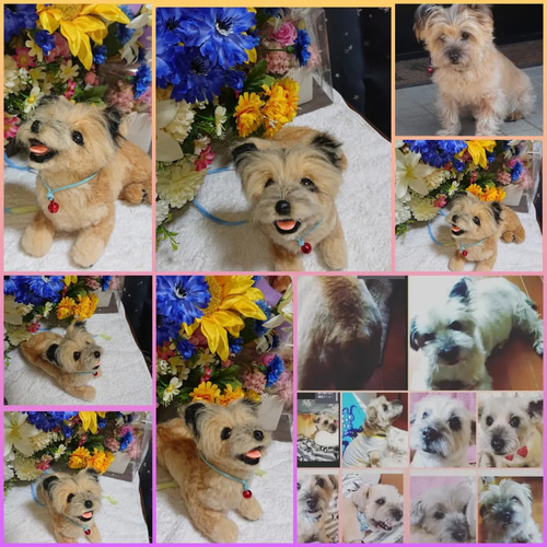 オーダー受付専用】 虹の橋の扉 ✨ 虹の橋✨ 犬 ✨ 猫