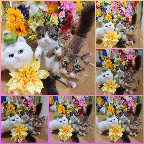 オーダー受付専用】 虹の橋の扉 ✨ 虹の橋✨ 犬 ✨ 猫 ✨ メモリアル 