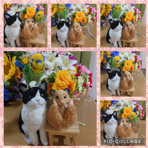 オーダー受付専用】 虹の橋の扉 ✨ 虹の橋✨ 犬 ✨ 猫 ✨ メモリアル 
