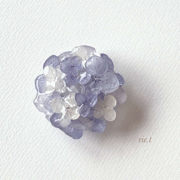 再販11【rie.t】本物の紫陽花 帯留め 1枚目の画像
