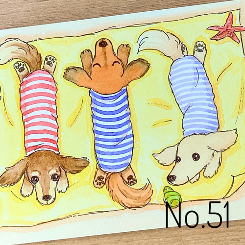 夏のミニチュアダックス イラストポストカード 5枚セット