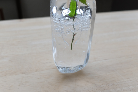 [進貨] 玻璃花瓶花瓶 第2張的照片