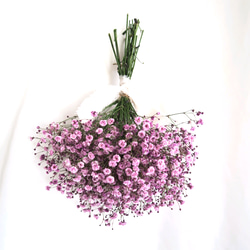 【特集掲載】purple baby's breath swag（パープルかすみそうのスワッグ）母の日 1枚目の画像