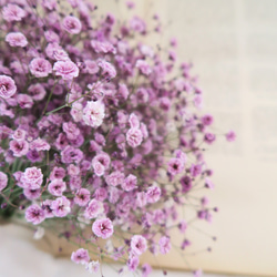 【特集掲載】purple baby's breath swag（パープルかすみそうのスワッグ）母の日 4枚目の画像