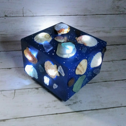 波光粼粼的貝殼和海草物體 - 貝殼燈箱Ⅴ 第2張的照片