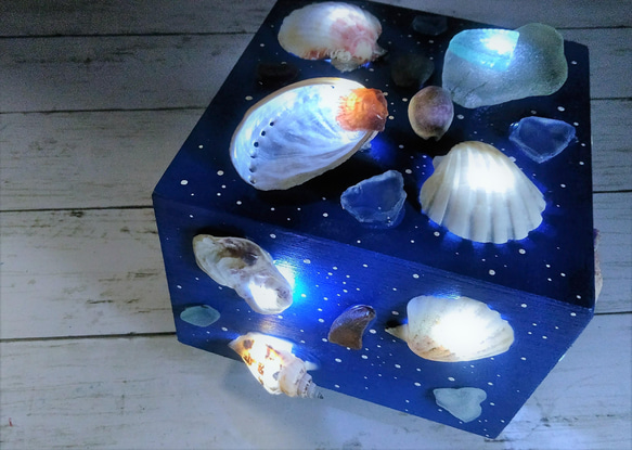 波光粼粼的貝殼和海草物體 - 貝殼燈箱Ⅴ 第8張的照片