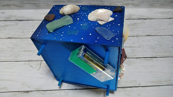 波光粼粼的貝殼和海草物體 - 貝殼燈箱Ⅴ 第10張的照片