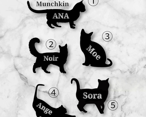ヴィンテージ　猫車 のんちゃんR 🚙💕 ℝ𝟛𝟝 𝔾𝕋-ℝ /𝔸ℤ-𝟙/𝔹𝕄𝕎 𝕆𝕨𝕟𝕖𝕣 | 羽田