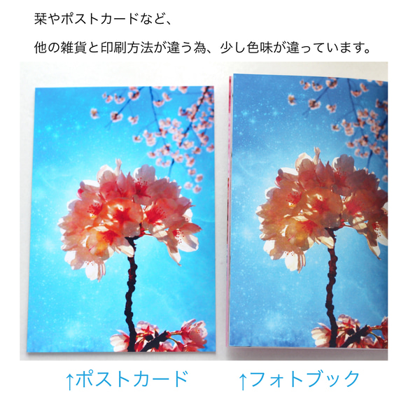 フォトブック②「櫻雫(sakura drop)」（24ページ） 5枚目の画像