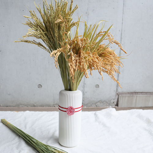 2024 しめ縄・お正月飾り B 2024正月】しめ縄正月飾り／亀（ 幅7cm×丈24cm） しめ縄・しめ飾り