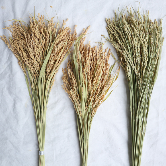 早割お正月2024】五穀豊穣(繁栄)稲穂飾り 鶴 南天 しめ縄 お正月