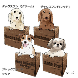 トートバッグMサイズ　～箱入り犬シリーズ～　コーギー、パグ、ボストンテリア、ペキニーズ、ラブラドールレトリバー、柴犬 4枚目の画像