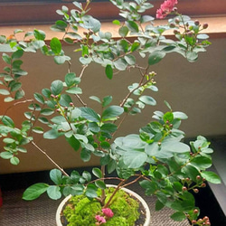 11f6230368847c2914c426479e22cd