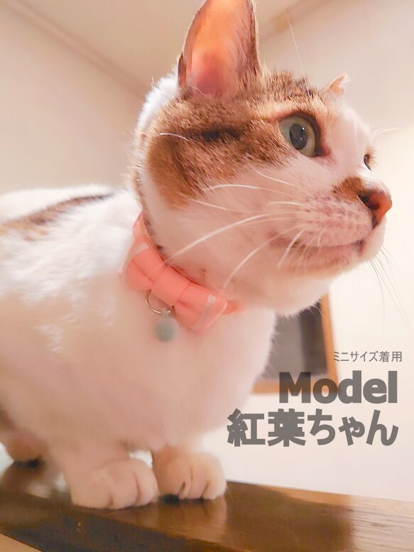 ストライプアリス風(ピンク)わんちゃん猫ちゃん用襟つき首輪 Amazon | 猫 首輪 鈴付き 取り外し可能 かわいい 猫用首輪 少女