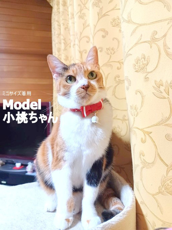 ホワイトラインのリボン＊猫ちゃんドット首輪 7枚目の画像