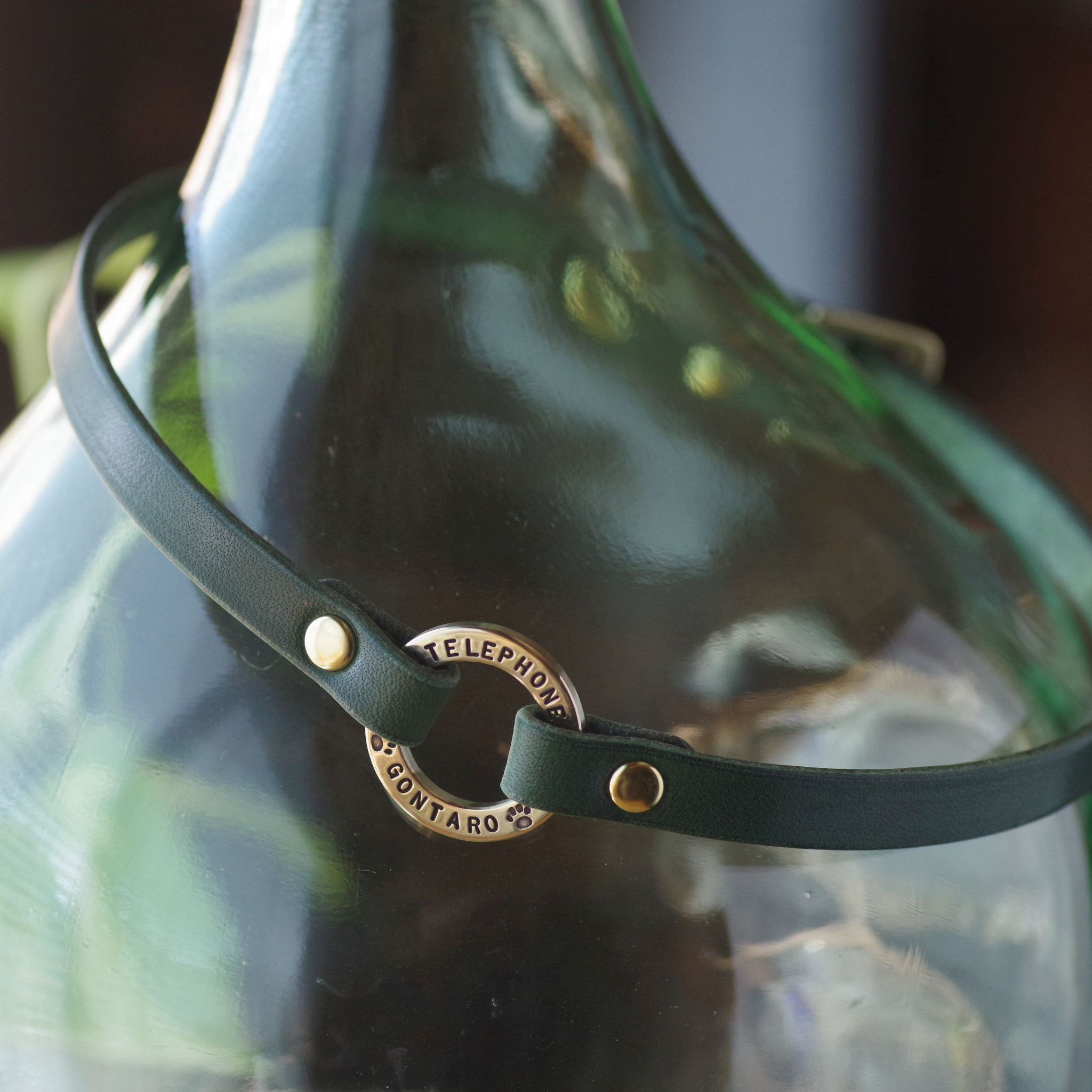 迷子札チョーカー　リングモデル（Lサイズ）