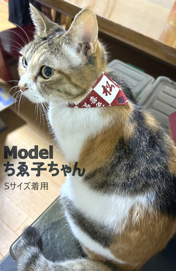 時尚的日語和漢字！半訂購頭巾*貓項圈 第6張的照片