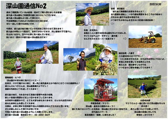 ＜私たちが作った屋久島天然アールグレイ紅茶＞ティーバッグ 3g×15p 無農薬/無化学肥料/残留農薬ゼロ 9枚目の画像