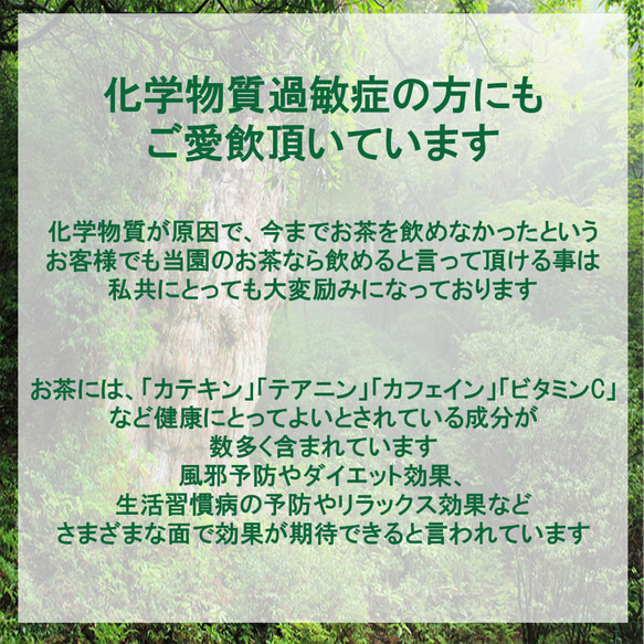 ＜私たちが作った屋久島天然アールグレイ紅茶＞ティーバッグ 3g×15p 無農薬/無化学肥料/残留農薬ゼロ 3枚目の画像