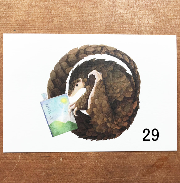 ☆再…販☆  ポストカード 10枚セット（全30種類）トラ・アライグマ・メロンソーダ 3枚目の画像