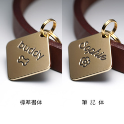ひし形の迷子札【真鍮】犬用 ペット用 ネームプレート ネームタグ ドッグタグ 名札 キーホルダー チャーム 3枚目の画像