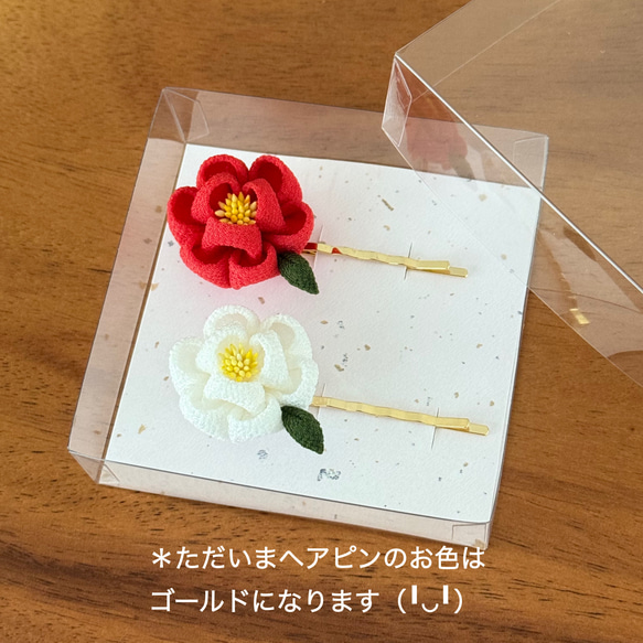  第8張的照片