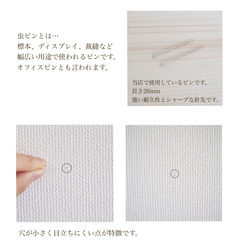 専用ページ 10枚目の画像