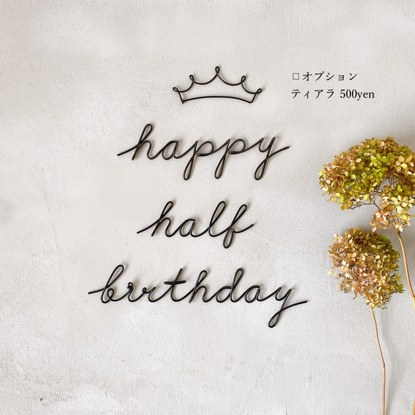ハーフバースデー happy half birthday  (虫ピン付属) ワイヤーレタリング　1/2記念日 6枚目の画像