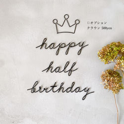 ハーフバースデー happy half birthday  (虫ピン付属) ワイヤーレタリング　1/2記念日 5枚目の画像