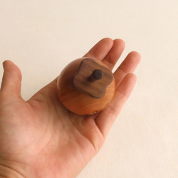 渋柿  wooden persimmon 4枚目の画像