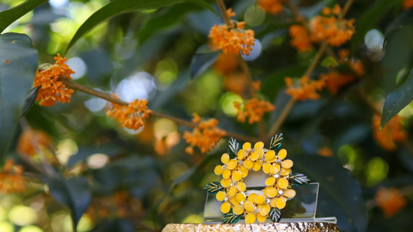 [特輯] 桂花環胸針 秋花 第8張的照片