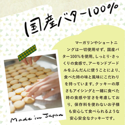 【アイシングクッキーキットA】動画・マニュアル入り おうちで お菓子作り アイシングクッキー クッキー 手作り 10枚目の画像