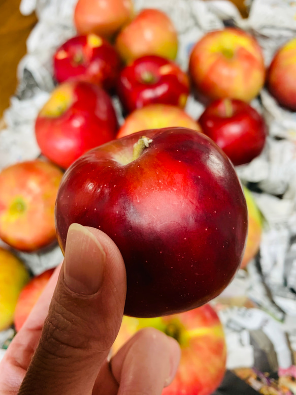 林檎とくるみのケーキ 4枚目の画像
