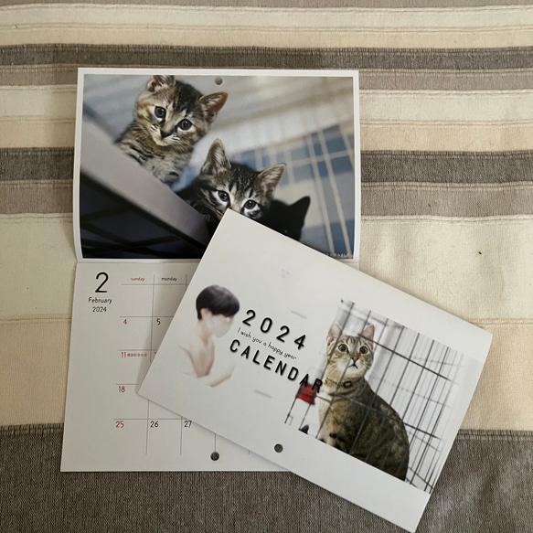 お買い物で猫ちゃんのボランティア［sakuraneko］2024年版カレンダー 1枚目の画像