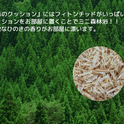 森林坐墊 彩葉 背部 深綠色 第8張的照片