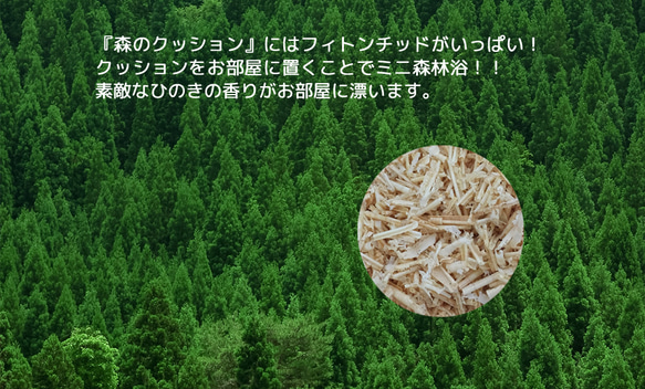 森林坐墊 彩葉 背部 深綠色 第8張的照片