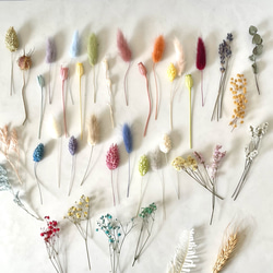 山葡萄の蔓　B級品 1キロ 山葡萄の蔓 B級品 1キロ 山葡萄の蔓 初物 S級品 1240g