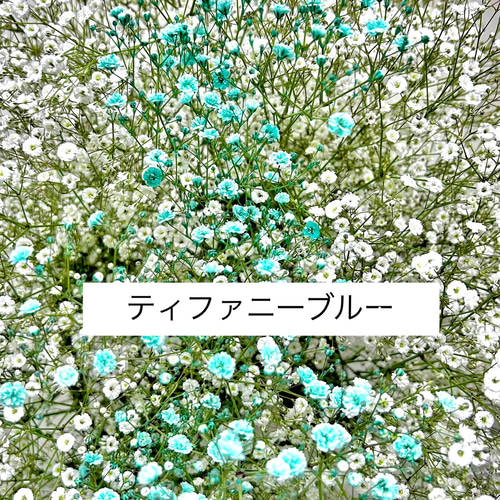 母の日用ご予約受付中》カスミソウリース☆ リース フルールウルーズ