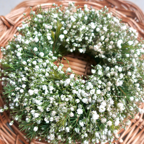 母の日用ご予約受付中》カスミソウリース☆ リース フルールウルーズ