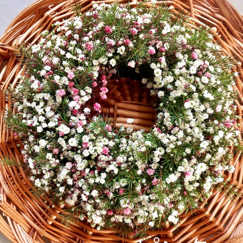 母の日用ご予約受付中》カスミソウリース☆ リース フルールウルーズ